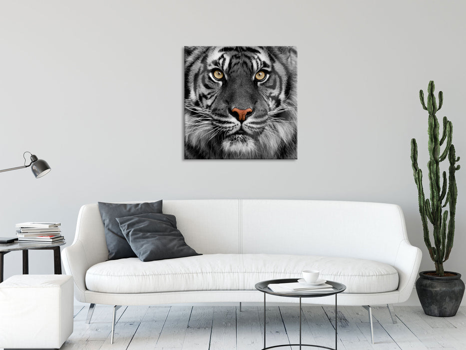 Aufmerksamer Tiger, Glasbild Quadratisch