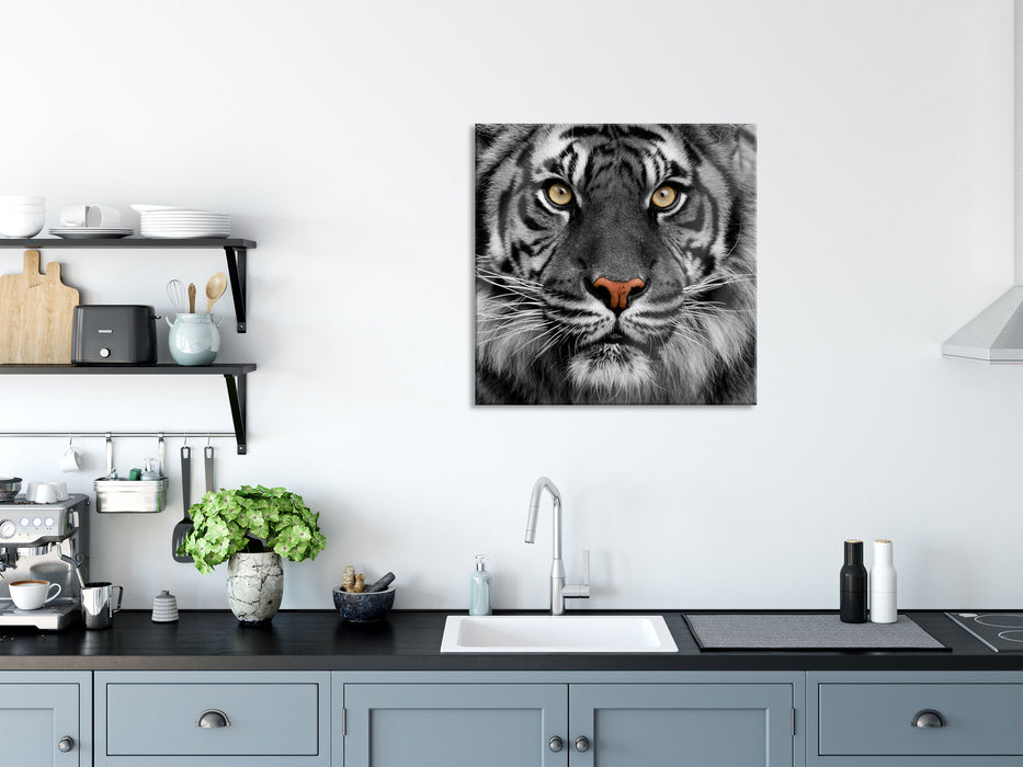 Aufmerksamer Tiger, Glasbild Quadratisch