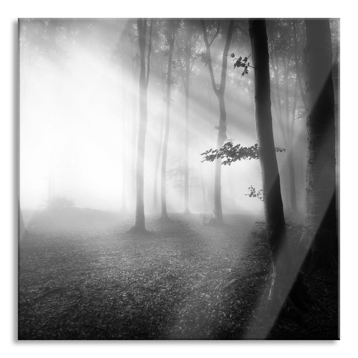 Pixxprint Düsterer Wald im Nebel, Glasbild Quadratisch