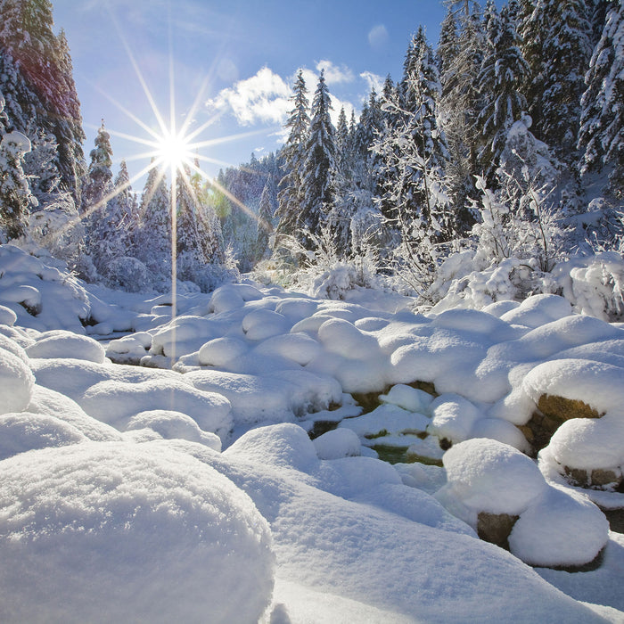 Sonnenstrahlen im Wald, Glasbild Quadratisch