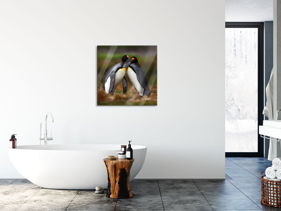 Pinguine in der Antarktis, Glasbild Quadratisch