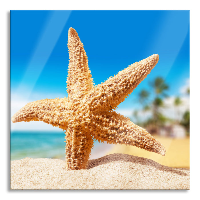 Pixxprint Seestern Palm Beach, Glasbild Quadratisch