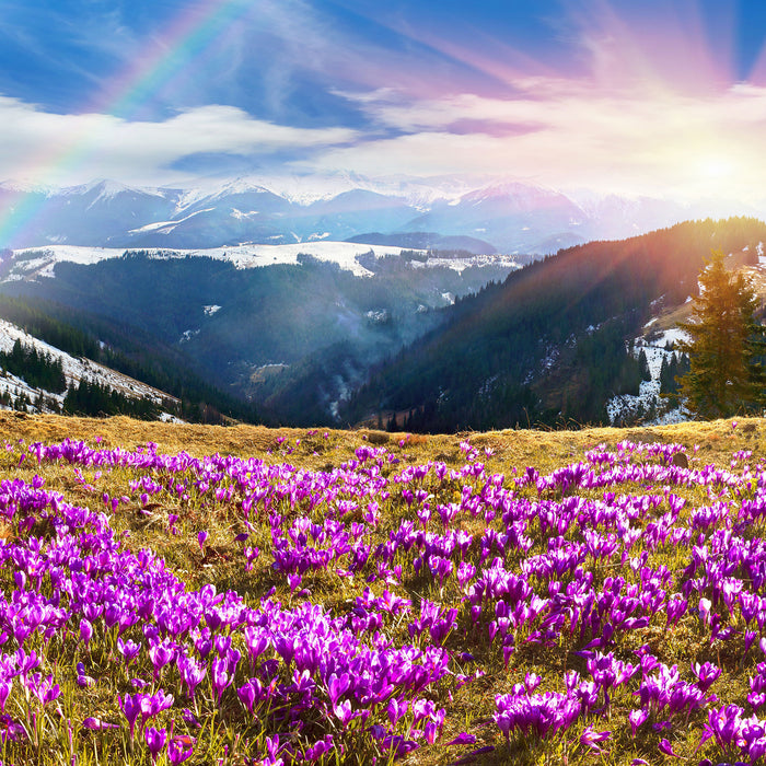 Berge mit Regenbogen, Glasbild Quadratisch