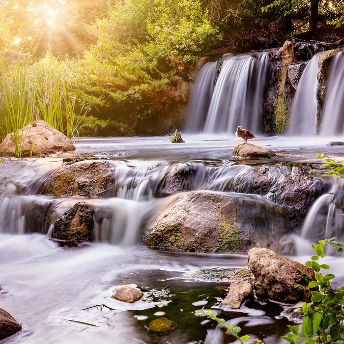 Wasserfall, Glasbild Quadratisch