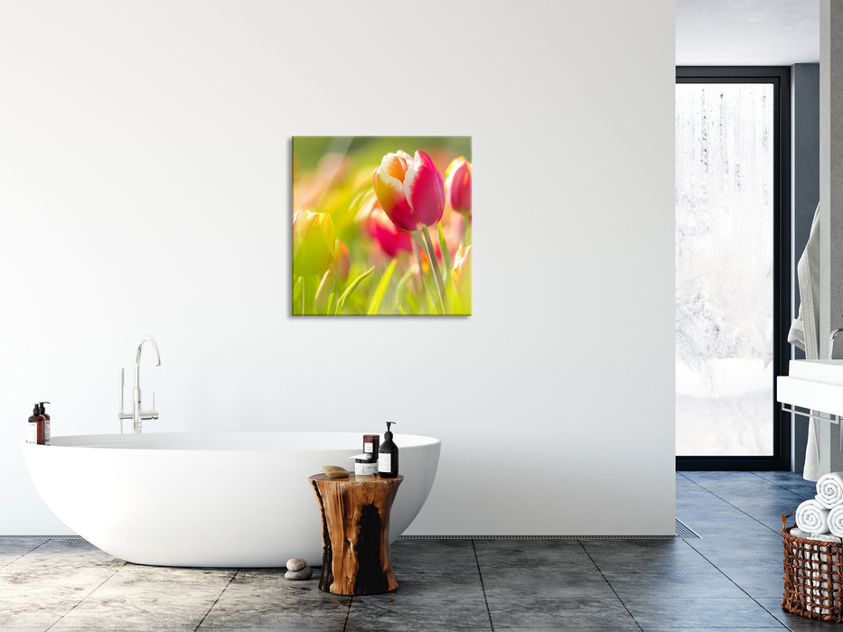 Blühende rote Tulpen, Glasbild Quadratisch