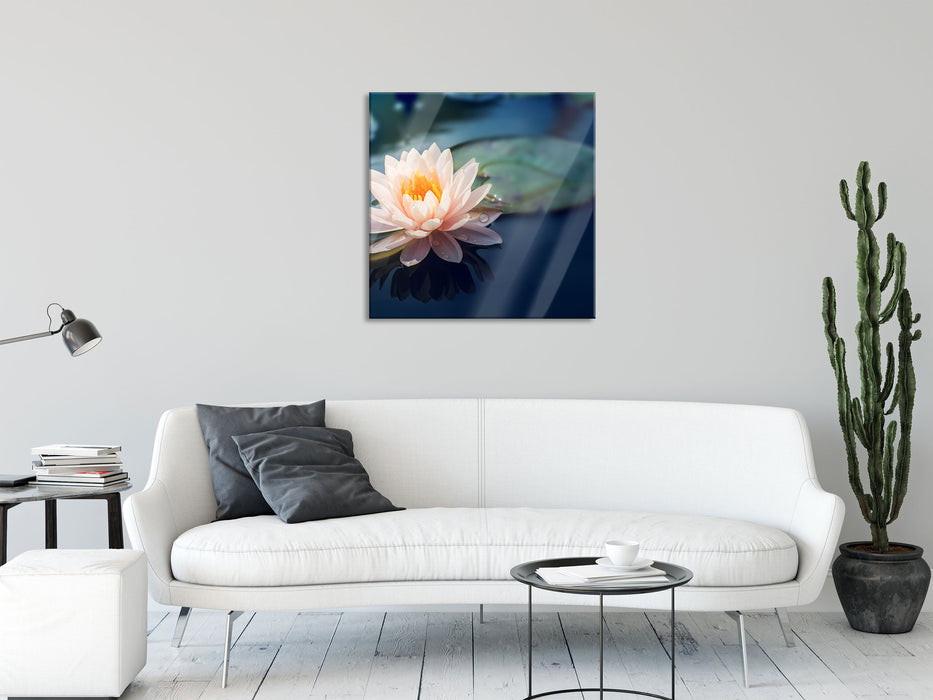 Eine rosa Lotusblume in Teich, Glasbild Quadratisch