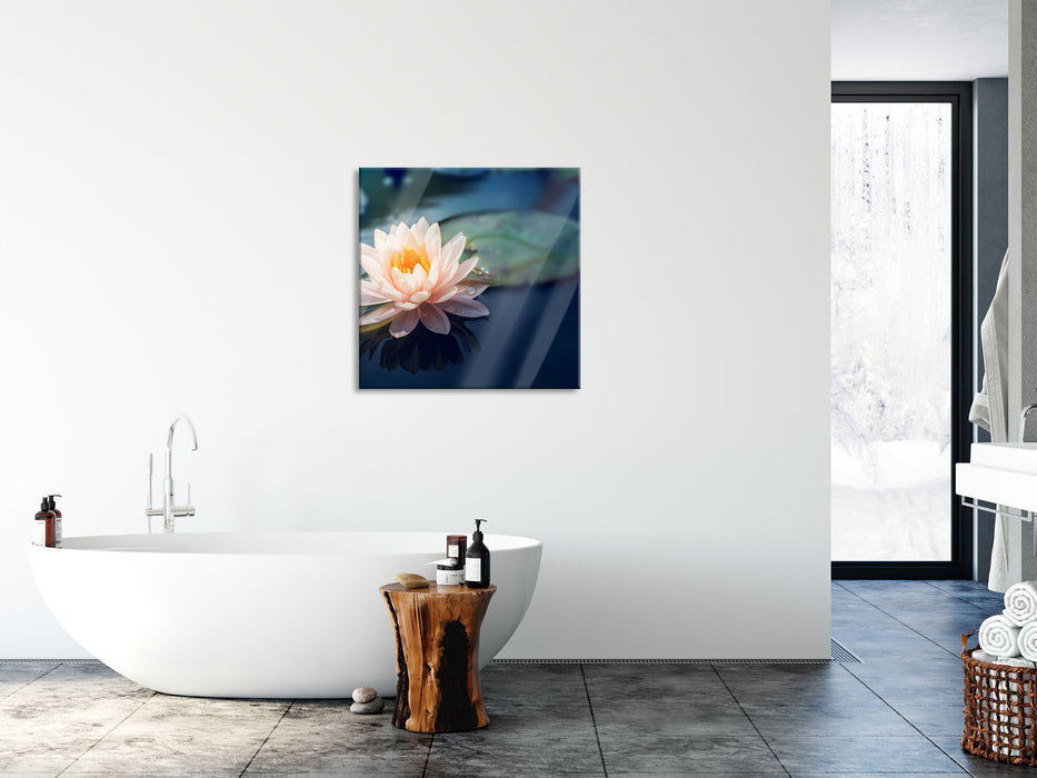 Eine rosa Lotusblume in Teich, Glasbild Quadratisch