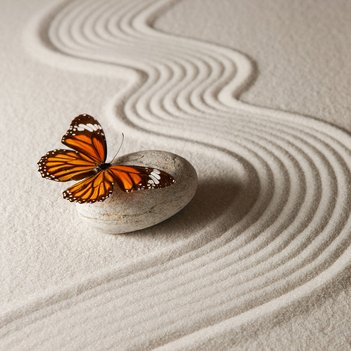 Zen Schmetterling, Glasbild Quadratisch