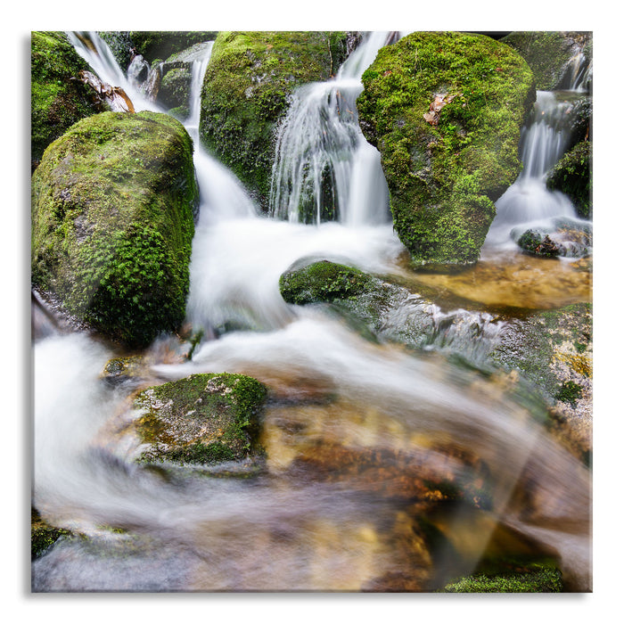 Pixxprint Gertelbach im Schwarzwald, Glasbild Quadratisch