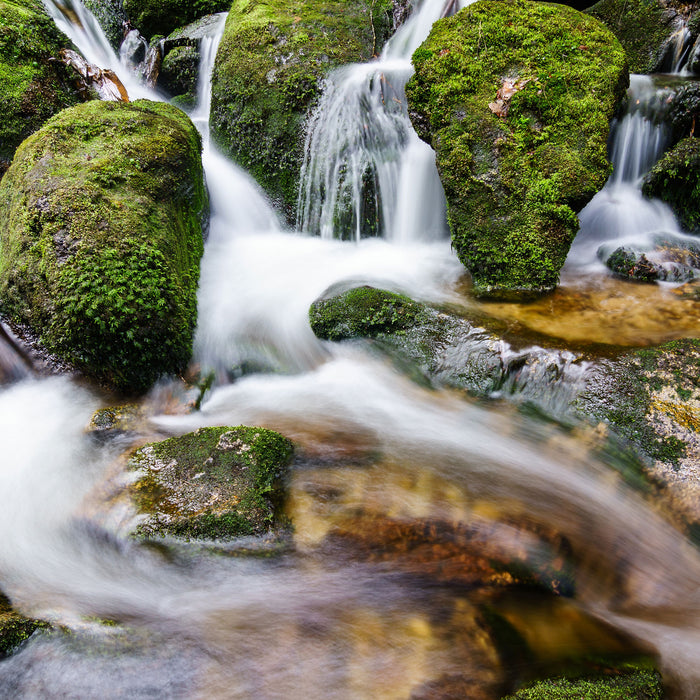 Gertelbach im Schwarzwald, Glasbild Quadratisch