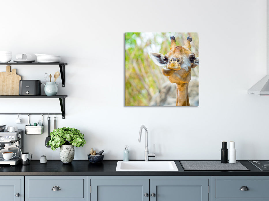 Giraffe in der Natur, Glasbild Quadratisch