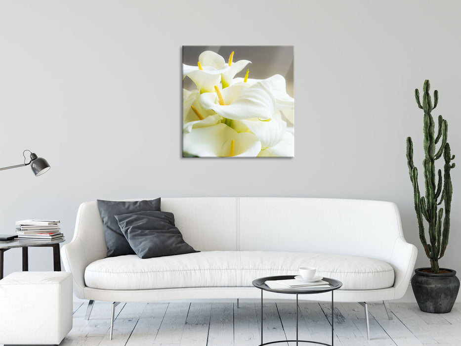 Wunderschöne weiße Calla Lilien, Glasbild Quadratisch