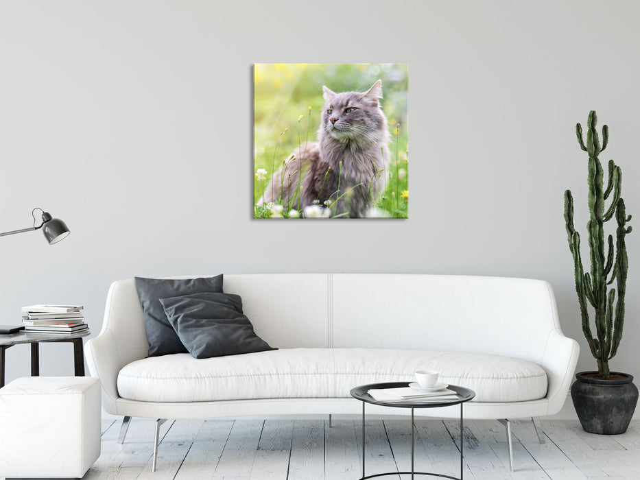 Katze in der Wildnis, Glasbild Quadratisch