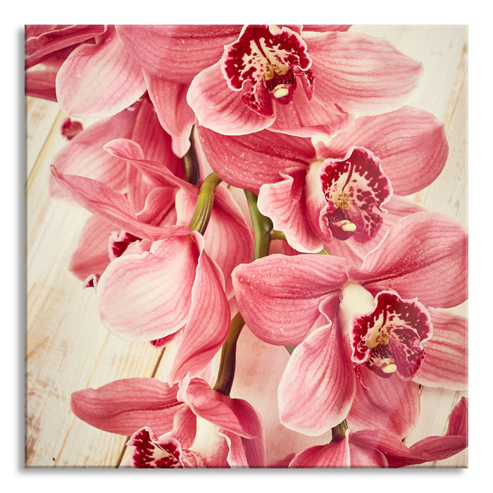 Pixxprint Rosane Orchideenblüten, Glasbild Quadratisch