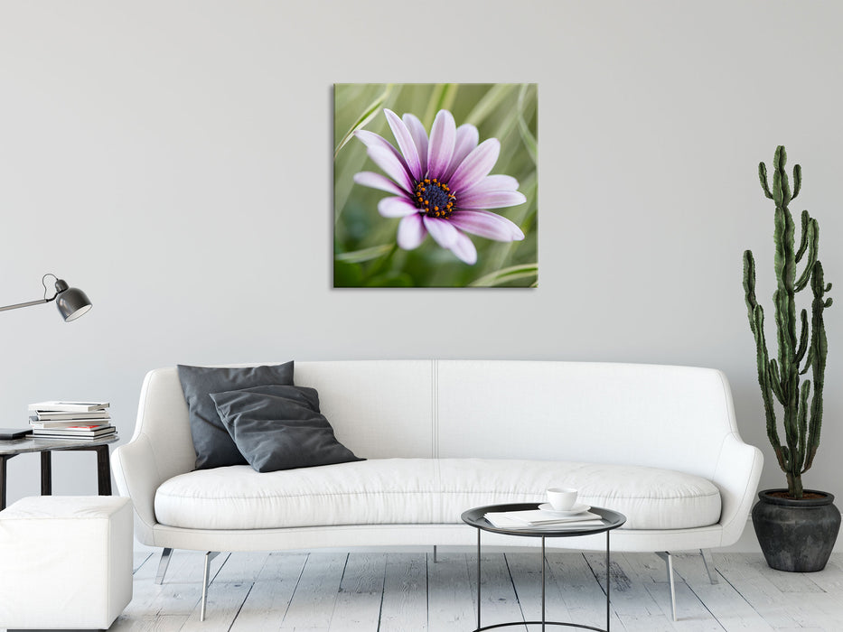 Blume in der Natur, Glasbild Quadratisch