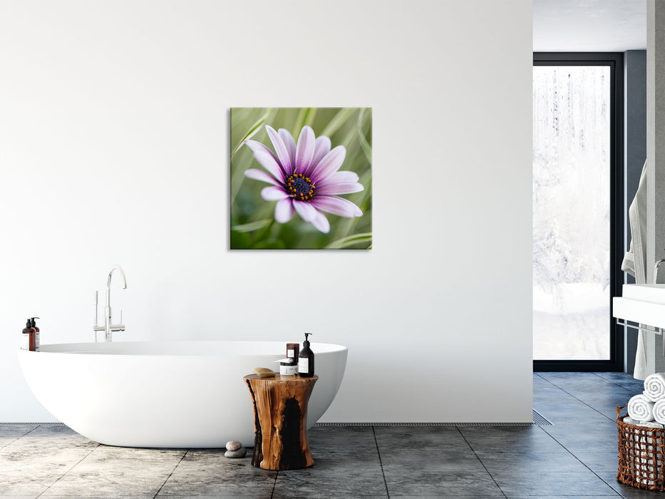 Blume in der Natur, Glasbild Quadratisch