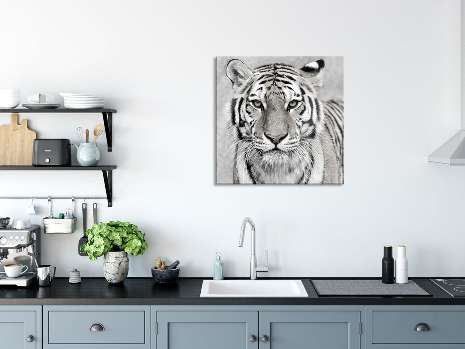 Anmutiger Tiger in, Glasbild Quadratisch