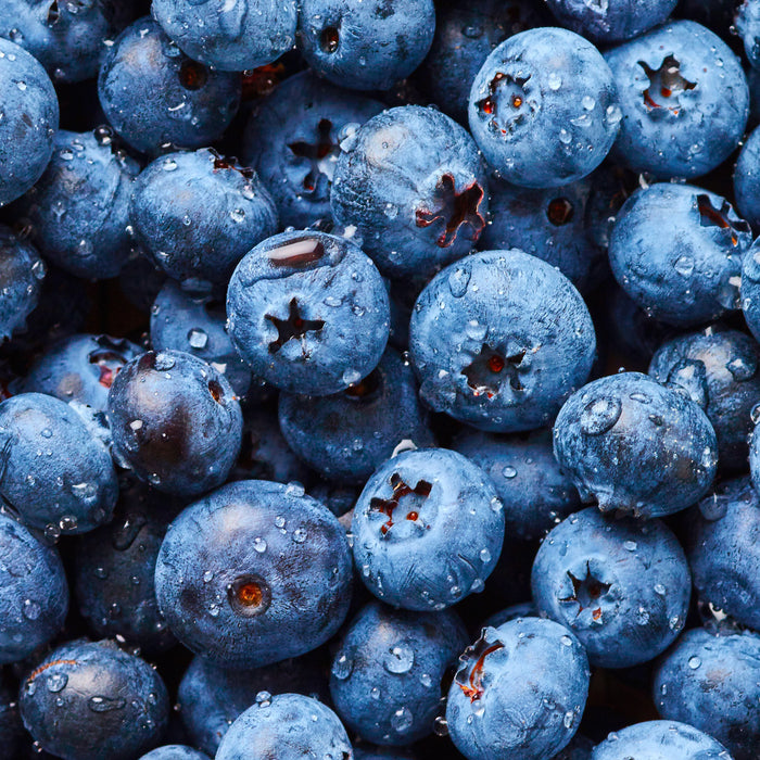 Blaubeeren mit Wassertropfen, Glasbild Quadratisch