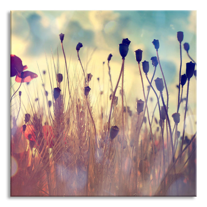 Mohn im Weizenfeld, Glasbild Quadratisch