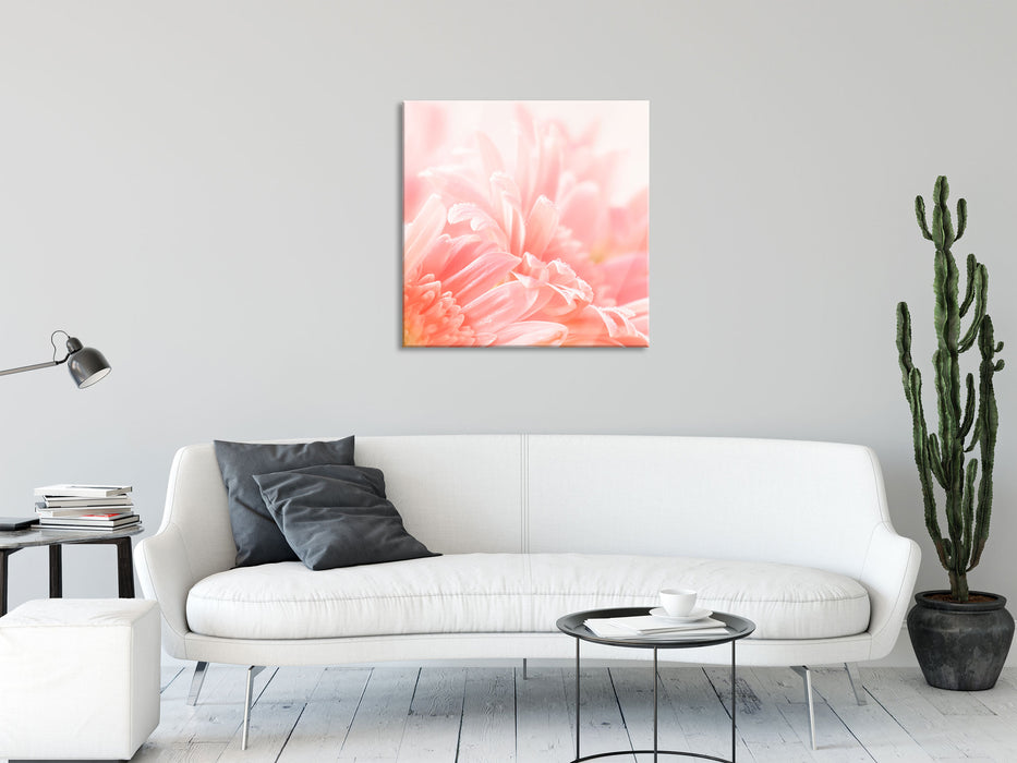 Gerbera Blume, Glasbild Quadratisch