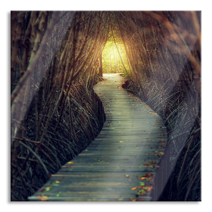 Gehweg im Wald, Glasbild Quadratisch