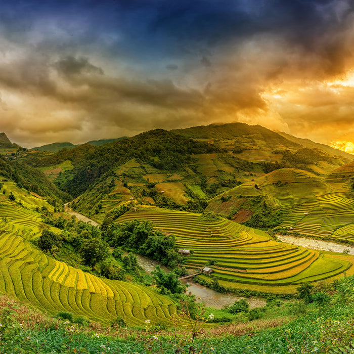 eine Berg Farm in Asien, Glasbild Quadratisch