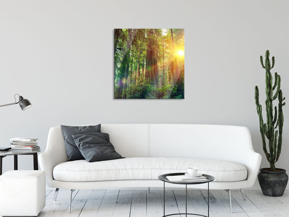 Wald bei Sonnenlicht, Glasbild Quadratisch