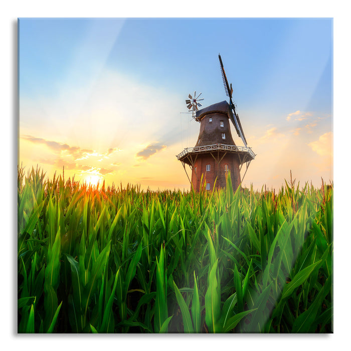 Pixxprint schöne Windmühle auf dem Feld, Glasbild Quadratisch