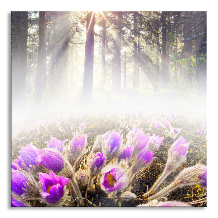 Pixxprint lila Blumen im Wald, Glasbild Quadratisch