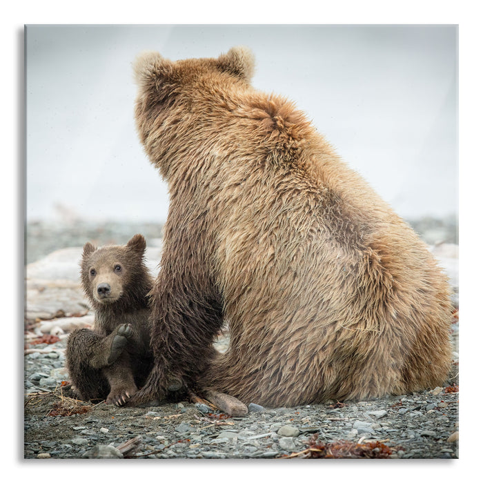 Bär mit Baby nach dem Baden, Glasbild Quadratisch