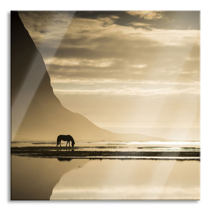 Pixxprint Pferd am Ufer einer Insel, Glasbild Quadratisch