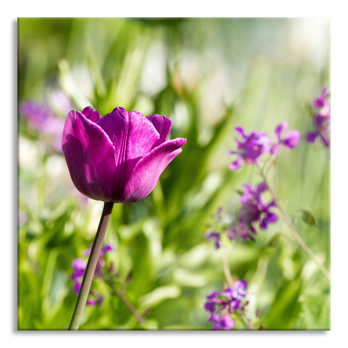 Blumen im Sonnenschein, Glasbild Quadratisch