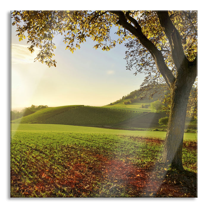 Landschaft im Herbst, Glasbild Quadratisch