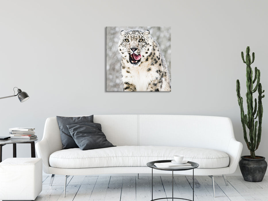 Leopard im Schnee, Glasbild Quadratisch