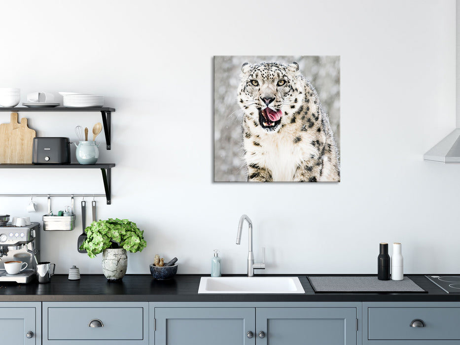 Leopard im Schnee, Glasbild Quadratisch