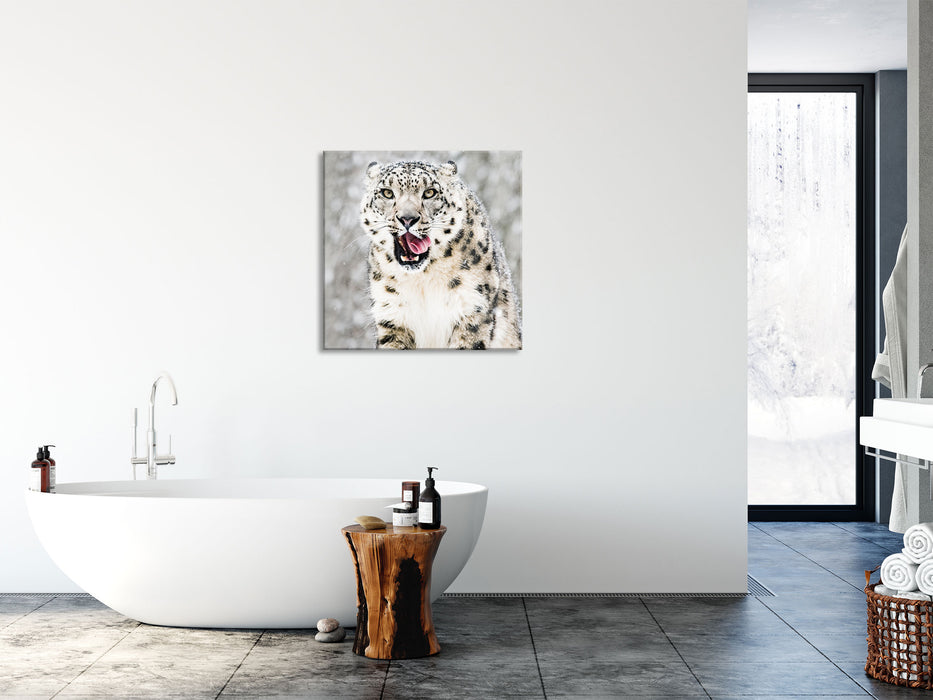 Leopard im Schnee, Glasbild Quadratisch