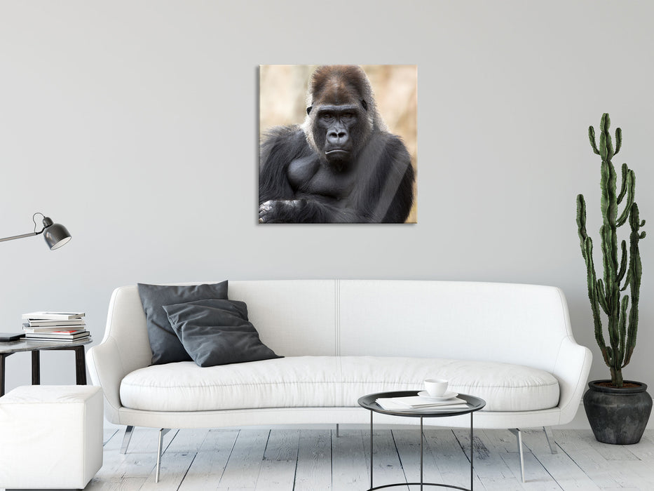 gelangweilter Gorilla, Glasbild Quadratisch