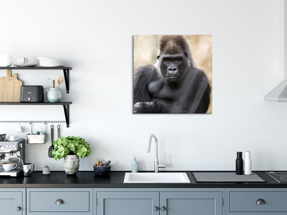 gelangweilter Gorilla, Glasbild Quadratisch