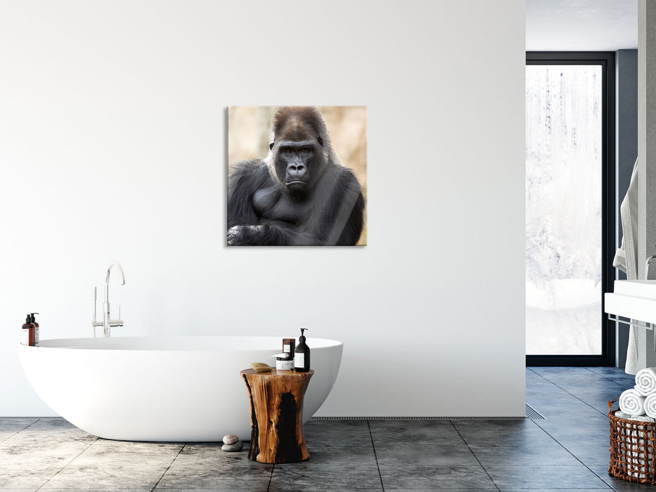 gelangweilter Gorilla, Glasbild Quadratisch