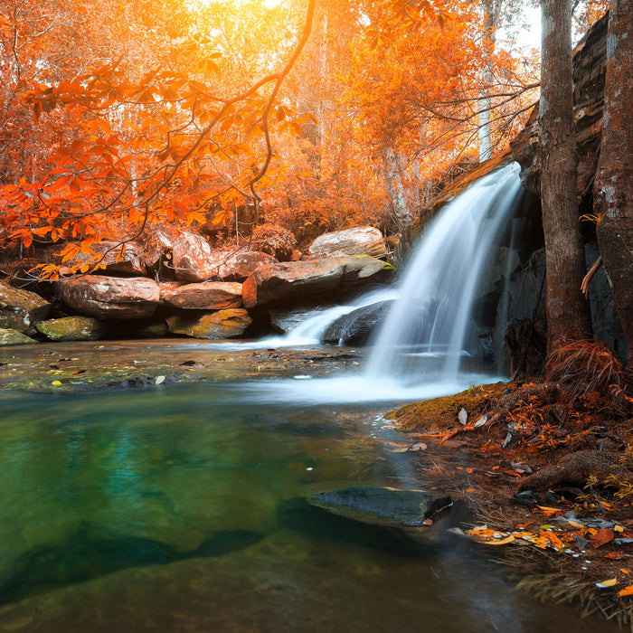 Wasserfall im Wald, Glasbild Quadratisch