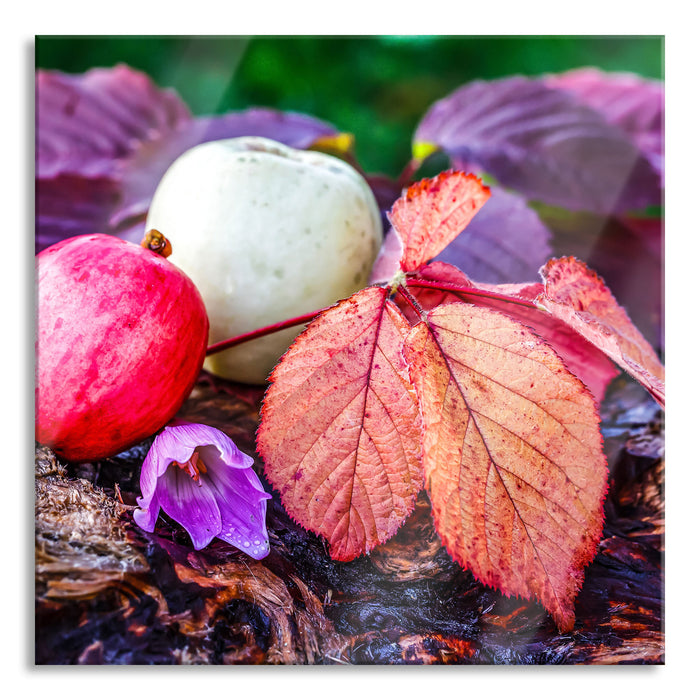 Äpfel und Blätter im Herbst, Glasbild Quadratisch