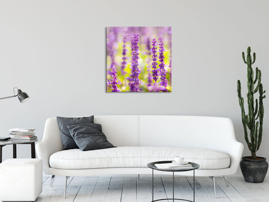 schöne violette Lavendelblüten, Glasbild Quadratisch