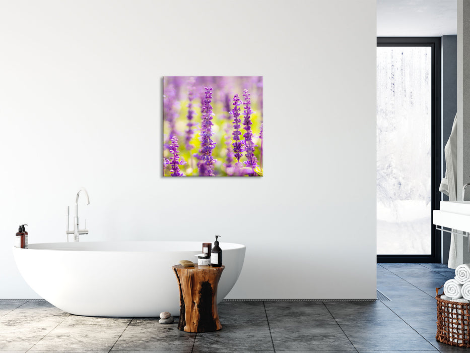 schöne violette Lavendelblüten, Glasbild Quadratisch