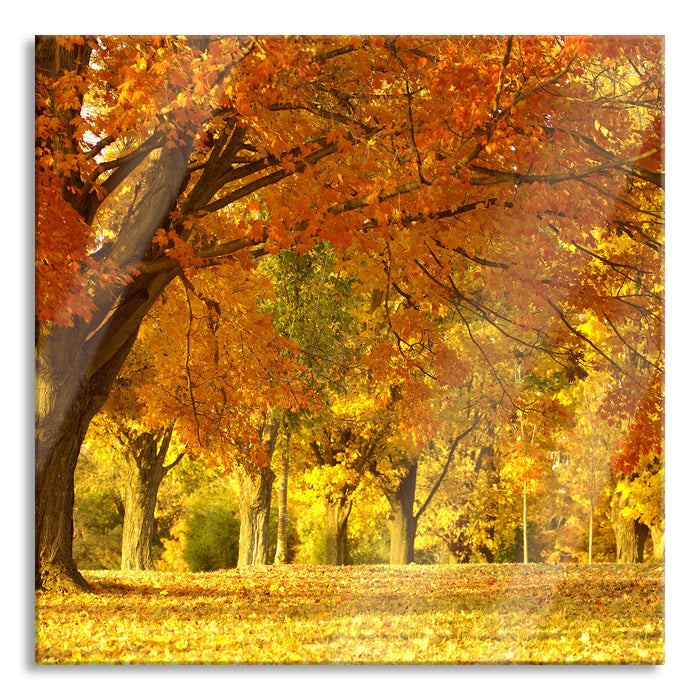 Pixxprint schöne Herbstlandschaft, Glasbild Quadratisch