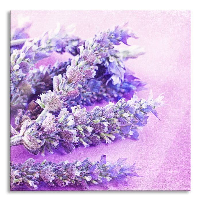 Pixxprint getrockneter Lavendel, Glasbild Quadratisch