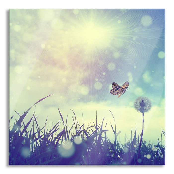 Pixxprint Schmetterling fliegt zu Pusteblume, Glasbild Quadratisch