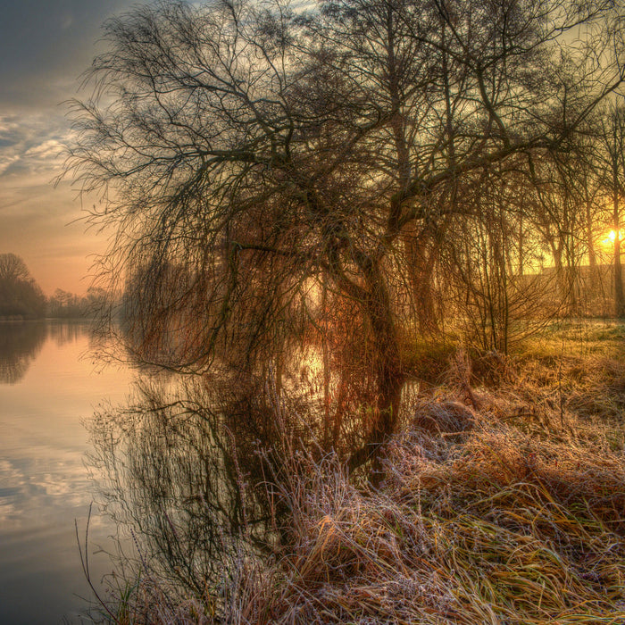 Landschaft im Morgengrauen, Glasbild Quadratisch