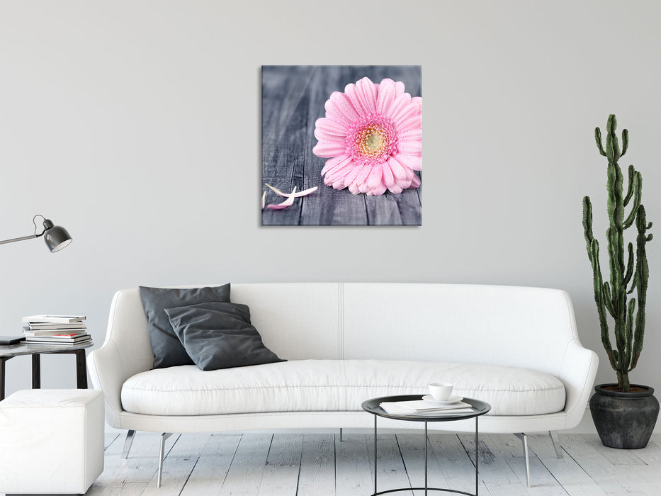 pinke Gerbera auf rustikalem Boden, Glasbild Quadratisch