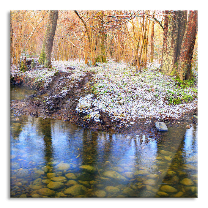 schneebedeckter Waldboden, Glasbild Quadratisch