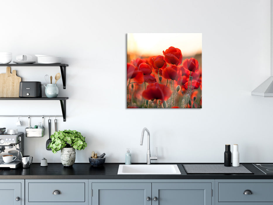 Feuriger Mohn, Glasbild Quadratisch